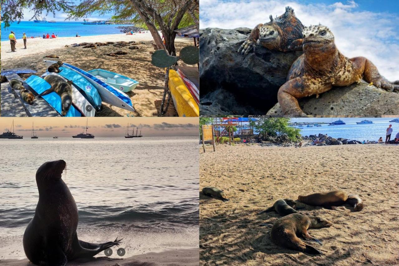 Blue Horizon - Galapagos Home Puerto Baquerizo Moreno Dış mekan fotoğraf